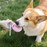 2-in-1 Dog Water Bottle & Silicone Bowl – Leakproof Travel Set