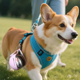 2-in-1 Dog Water Bottle & Silicone Bowl – Leakproof Travel Set