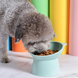 Tilted Whisker-Friendly Cat Bowl – Anti-Vomit, Shallow & Cute (Green)