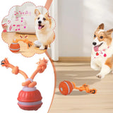 Pet Ball Interactive Toys for Dogs Motion Activate Rolling Ball for Puppy/Small Dogs Automatic Moving Toy USB Rechargeable Toy
