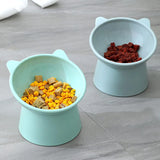 Tilted Whisker-Friendly Cat Bowl – Anti-Vomit, Shallow & Cute (Green)
