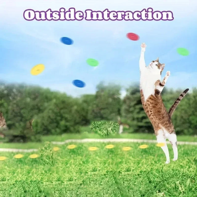Funny Cat Toys Creative Turnip Gun with 15pcs Reusable Foam Frisbee Pet Hunting Interactive Toy Dog Cat Pet Supplies