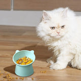 Tilted Whisker-Friendly Cat Bowl – Anti-Vomit, Shallow & Cute (Green)