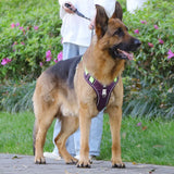 Reflective Nylon Pet Dog Harness Dog Padded Vest Adjustable Chest Strap Safety Lead All Weathers For Large Medium Small Dogs