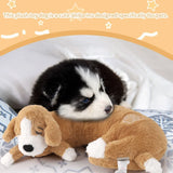 Curved Pillow Dog Heartbeat Toy for Comfort And Behavioral Training Heartbeat Stuffed Toy for Dogs And Cats