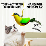 iLMH Indoor Interactive Birds Toy for Cat Chasing Teasing Toy Sounding Catnip Cat Teaser Toy Self-hilarity Wall Hanging Cat Toy