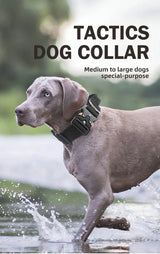 Dogs Harness Everything Pet Accessories Dog Leashes Collars Animals Supplies Leash Large So Pets Medium French Bulldog Flexi Set