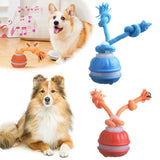 Pet Ball Interactive Toys for Dogs Motion Activate Rolling Ball for Puppy/Small Dogs Automatic Moving Toy USB Rechargeable Toy