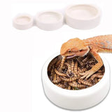 2-in-1 Gravity Water Dispenser & Food Bowl for Cats and Dogs