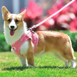 Summer Pet Dog Vest Harness and Leash Sets Reflective Mesh Harnesses for Small Dogs Pomeranian Corgi Yorkshire Puppy Arnes Perro