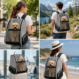 Summer Cat Carrier Backpack Breathable Mesh Small Dogs Cats Backpack for Travel Outdoor Activities Large Capacity Kitten Handbag