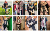 Pet Carrier Backpack for Dogs Cat Thickened Sponge Pet Front Dog Carrier Backpacks Portable Puppy Transportation Dog Bags