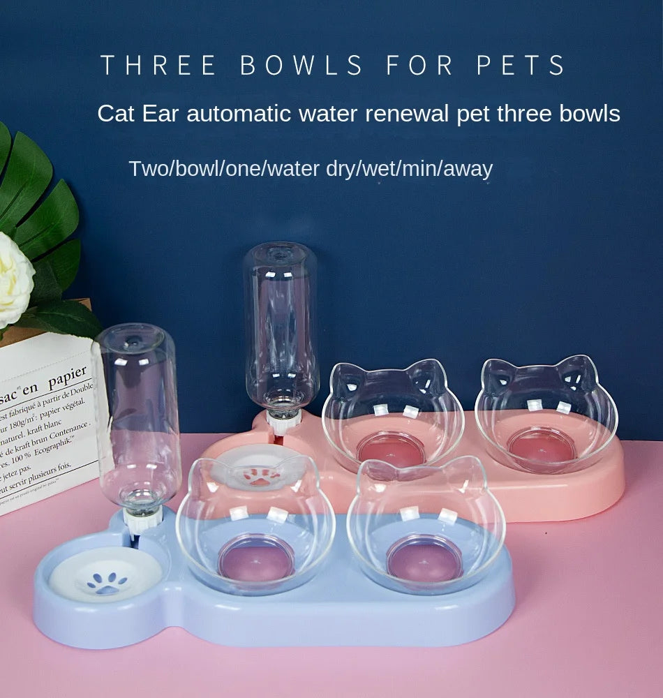 Elevated Double Pet Bowls – Tilted Feeder & Water Stand