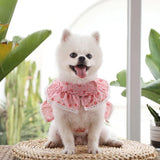 Lace Floral Dog Cat Harness Leash Set For Small Dogs Dress Cute Adjustable Pet Harness Vest Breathable Mesh Running Walking Lead