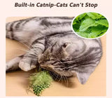 iLMH Indoor Interactive Birds Toy for Cat Chasing Teasing Toy Sounding Catnip Cat Teaser Toy Self-hilarity Wall Hanging Cat Toy