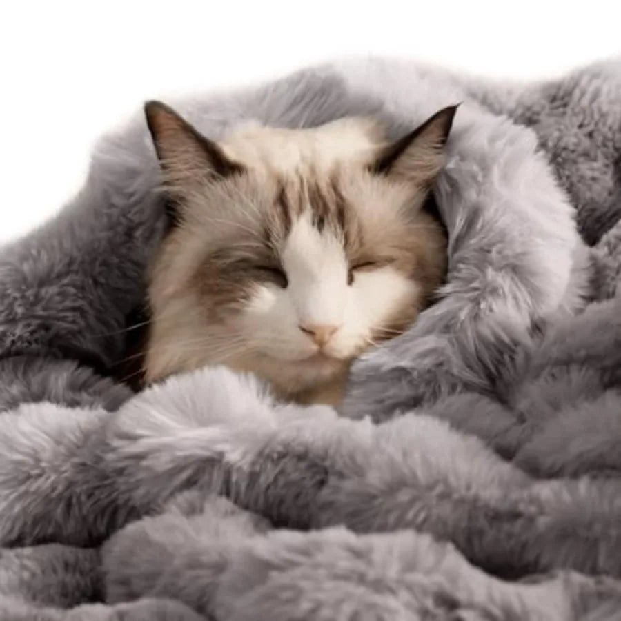Pet Blanket, Reversible Sherpa and Bubble Fleece Pet Throw, Ultra-Soft Plush for Cats and Small Dogs, Machine Washable, Anti-St