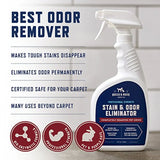 Stain and Strong Odor Eliminator, Enzyme Cleaner, Pet Odor Eliminator for Home - Carpet Stain Remover for Cats and Dog Pee - Ur
