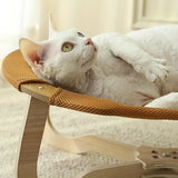 Summer Ice Cooling Pet Bed - Gel-Infused Removable Mat for Cats & Dogs, Breathable Elevated Hammock Design Stays 15°C Cooler