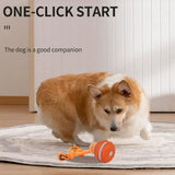 Pet Ball Interactive Toys for Dogs Motion Activate Rolling Ball for Puppy/Small Dogs Automatic Moving Toy USB Rechargeable Toy