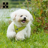Dog Harness Leash Set for Small Medium Dog Adjustable Reflective Puppy Cat Harness Pet Vest Chihuahua Dachshund Outdoor Walking