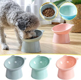 Tilted Whisker-Friendly Cat Bowl – Anti-Vomit, Shallow & Cute (Green)