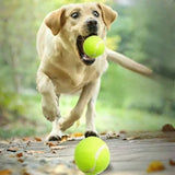 A Tennis Balls for Dogs, 2-Inch Size, Compatible with Most Automatic Ball Launchers Idea for Small Dogs(12 Balls Only)