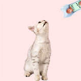 Cat Treat Squeeze Spoon – Lickable Wet Treat Feeder
