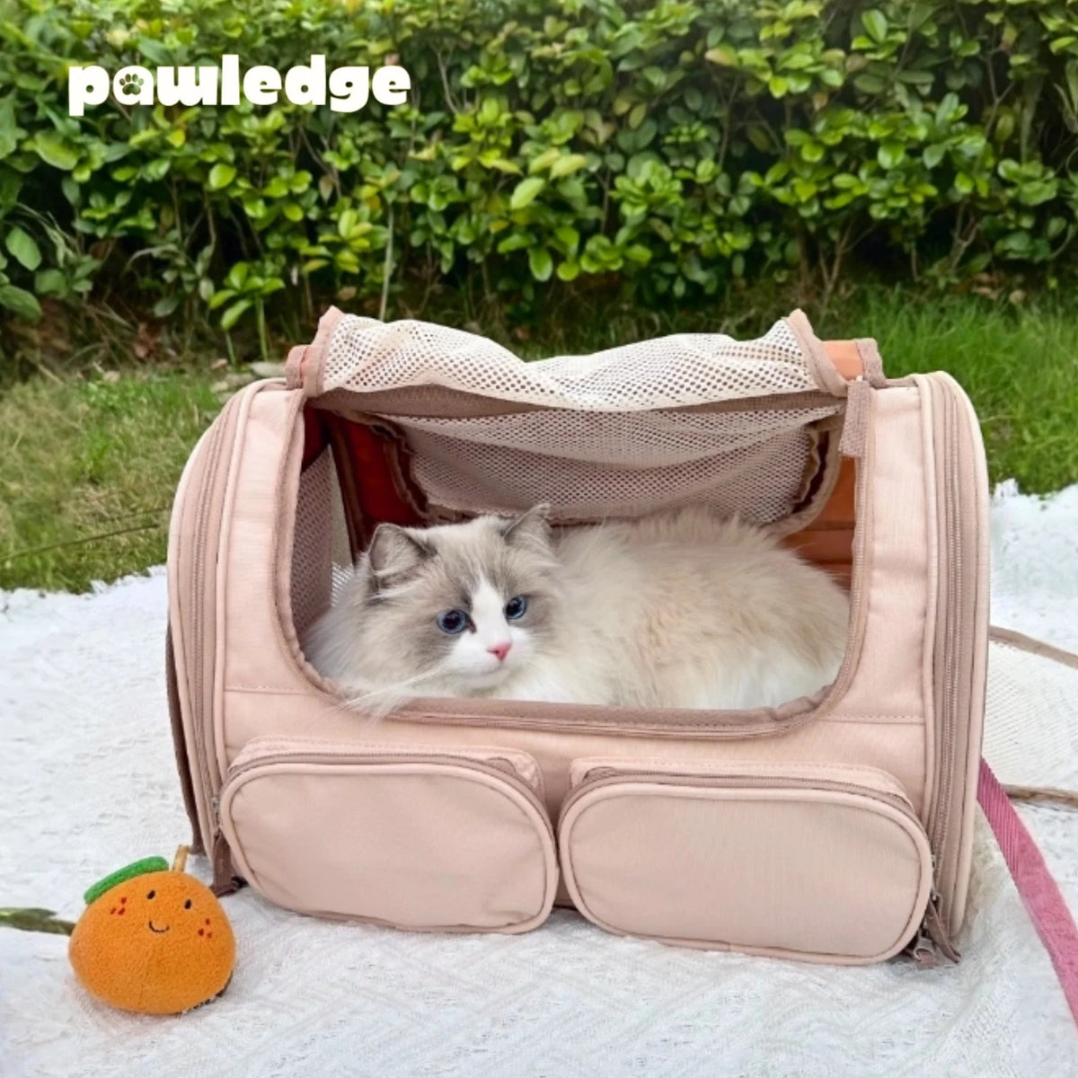 Foldable Pet Carrier Bag with Storage Pockets, Breathable Mesh Shoulder Travel Carrier for Cats and Small Dogs