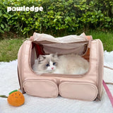 Foldable Pet Carrier Bag with Storage Pockets, Breathable Mesh Shoulder Travel Carrier for Cats and Small Dogs