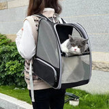 Summer Cat Carrier Backpack Breathable Mesh Small Dogs Cats Backpack for Travel Outdoor Activities Large Capacity Kitten Handbag
