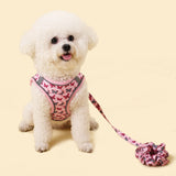 Traction Bracelet Small Dog Harness Set Soft Winter Warm Small Dog Harness Leash Set Cat Vest Harness Cute Pet Accessories