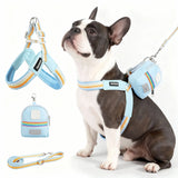 Y-Shape Harness Leash Set with Detachable Dog Backpack, Pastel Colors No Pull Pet Vest for Walking, Adjustable Reflective Small