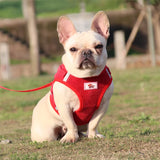 Summer Pet Dog Vest Harness and Leash Sets Reflective Mesh Harnesses for Small Dogs Pomeranian Corgi Yorkshire Puppy Arnes Perro