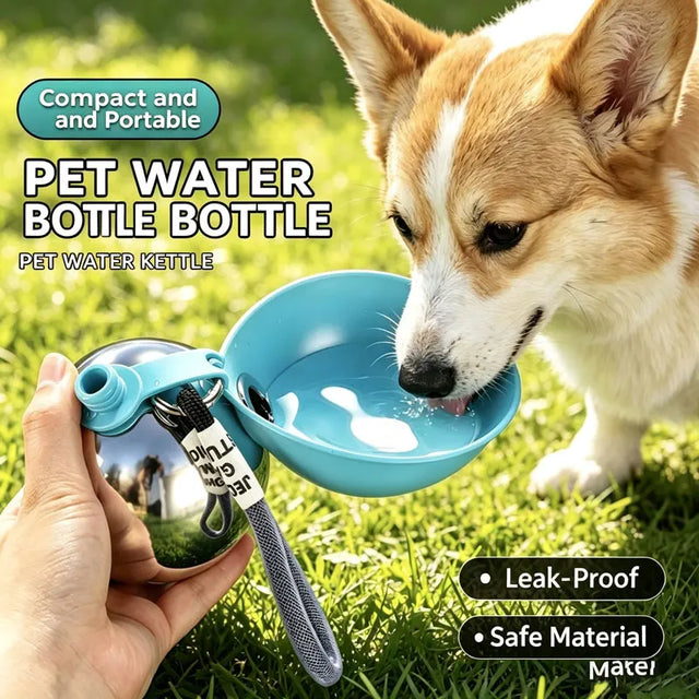 Foldable Travel Water Bowl – 304 Stainless Steel Clip