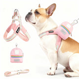 Y-Shape Harness Leash Set with Detachable Dog Backpack, Pastel Colors No Pull Pet Vest for Walking, Adjustable Reflective Small